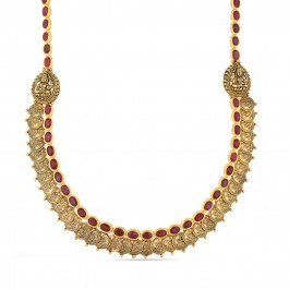 The Ginevra Choker - Short Necklace - Gold