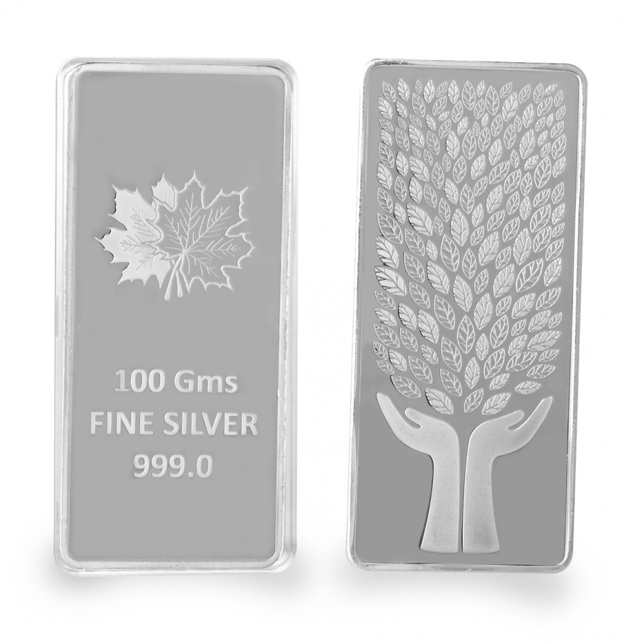 100 Gram Silver Bar