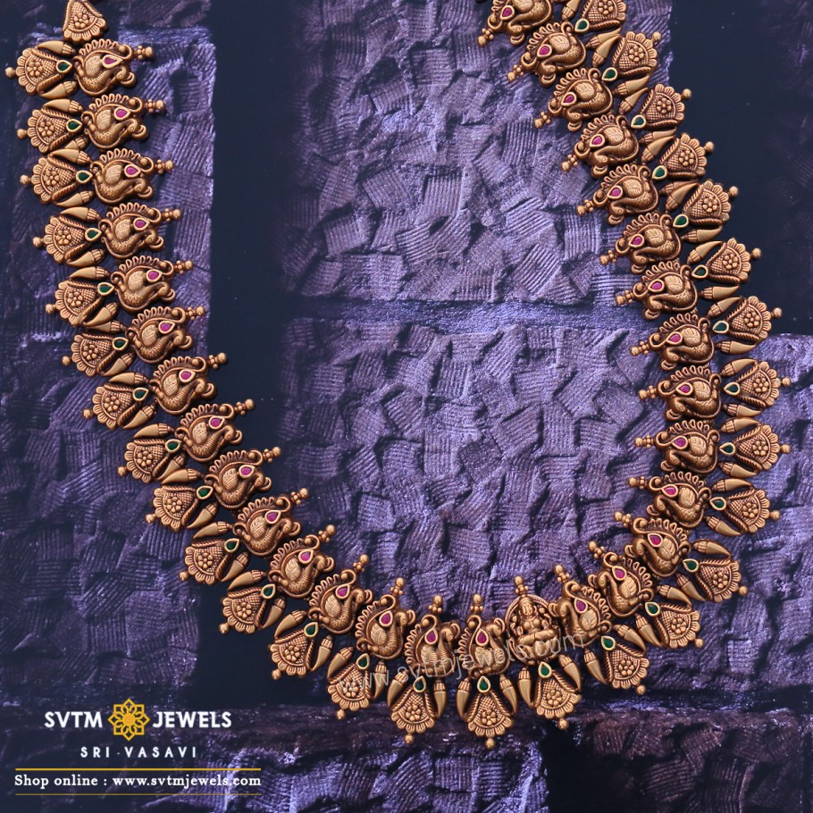 Incredible Lakshmi Semi-long Necklace
